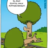 5b6476df13454f50e355b22ae0c79506--funny-pics-funny-stuff.jpg